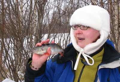 Pilkkikisat